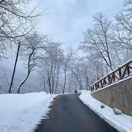 Kuca Za Odmor ,,Balkan” Crni Vrh Экстерьер фото