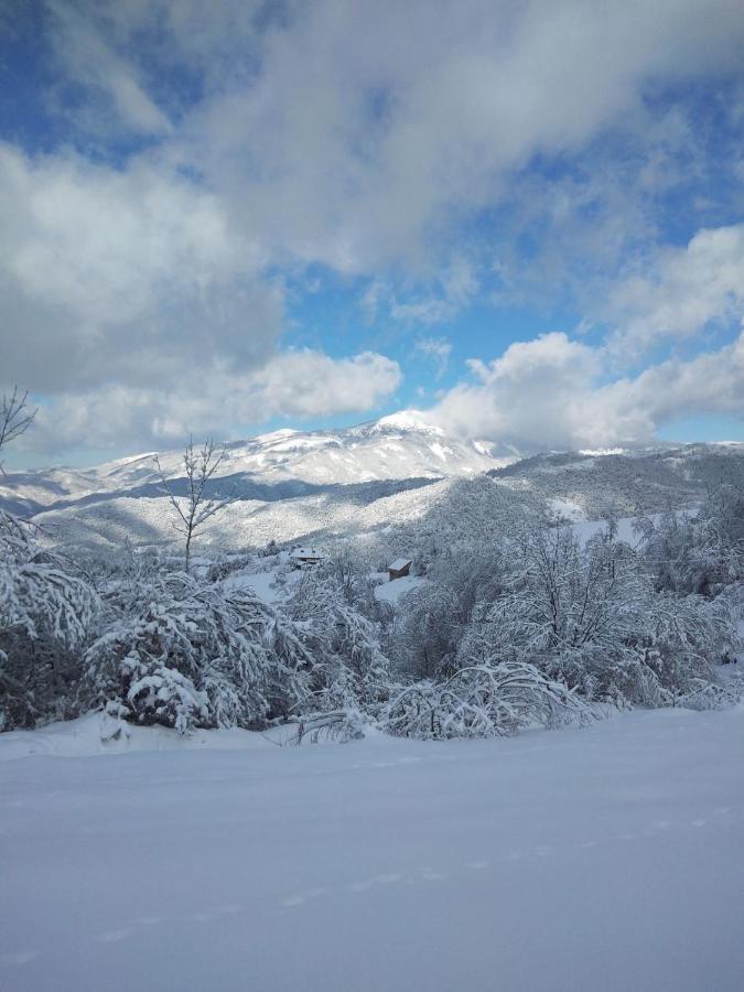 Kuca Za Odmor ,,Balkan” Crni Vrh Экстерьер фото