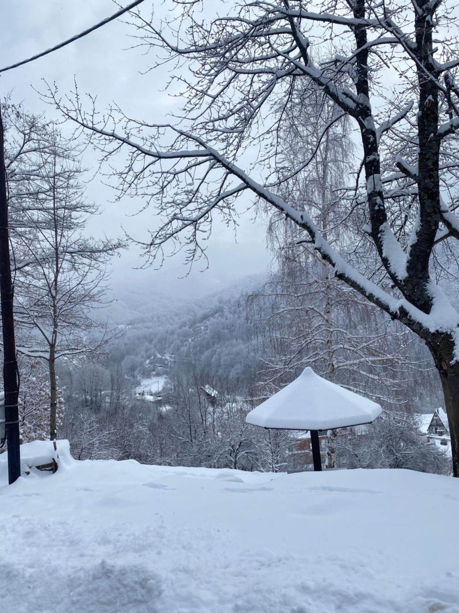 Kuca Za Odmor ,,Balkan” Crni Vrh Экстерьер фото