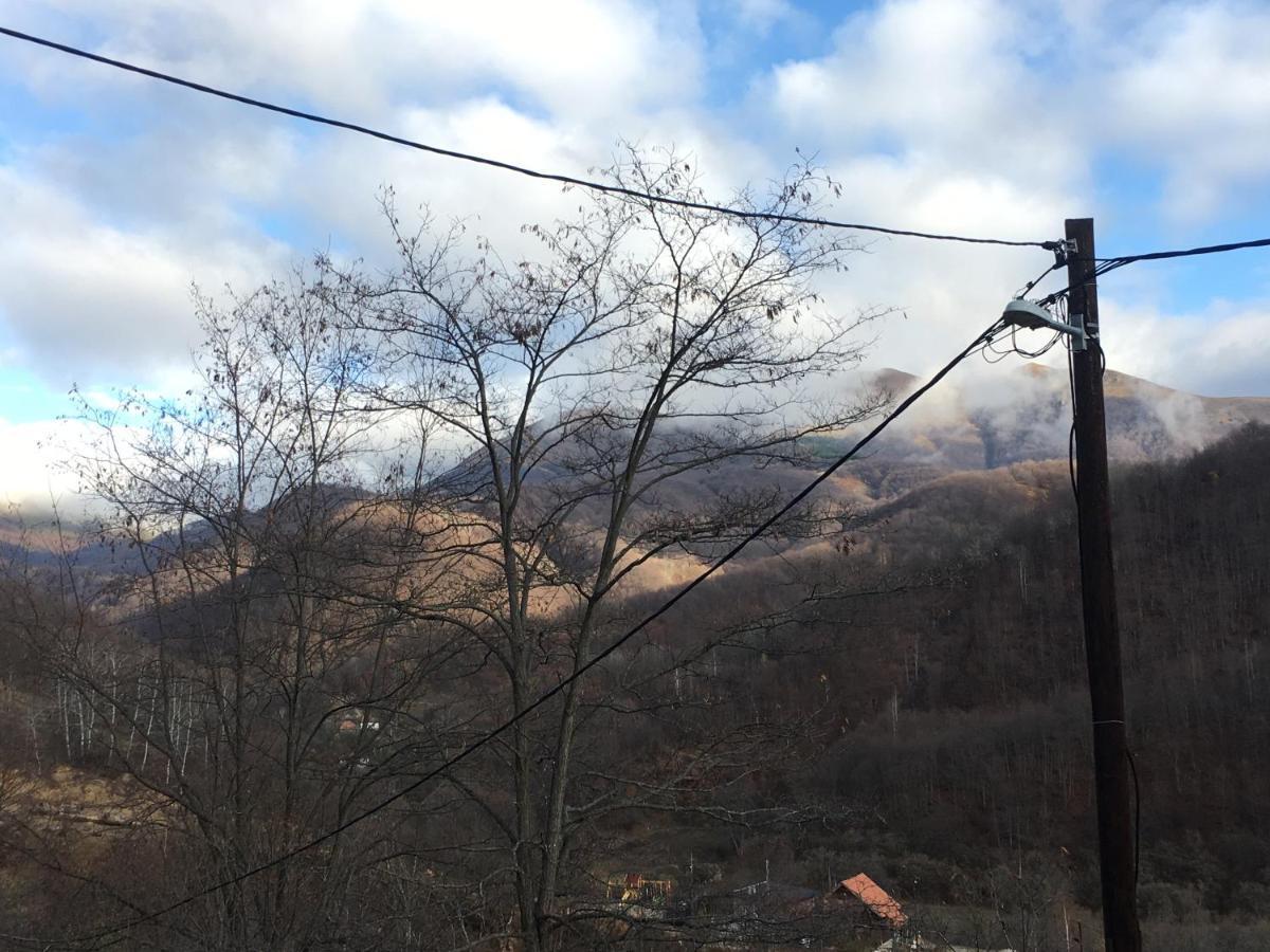 Kuca Za Odmor ,,Balkan” Crni Vrh Экстерьер фото