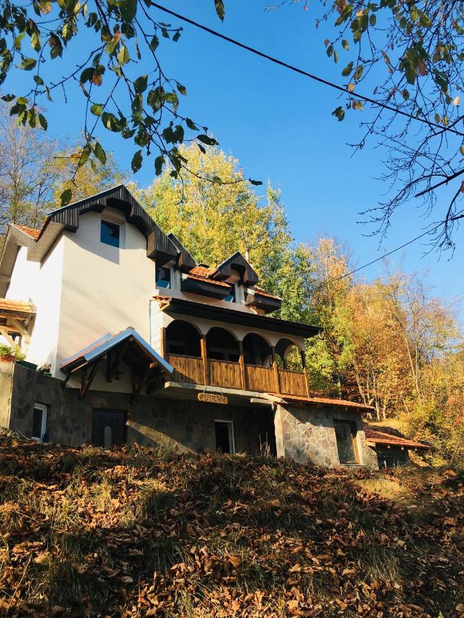 Kuca Za Odmor ,,Balkan” Crni Vrh Экстерьер фото
